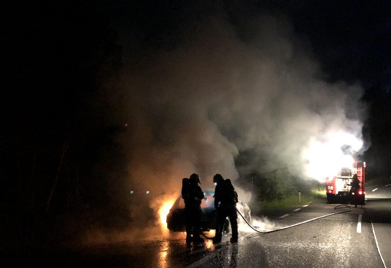 PKW Brand Dobratsch (Bild 2)